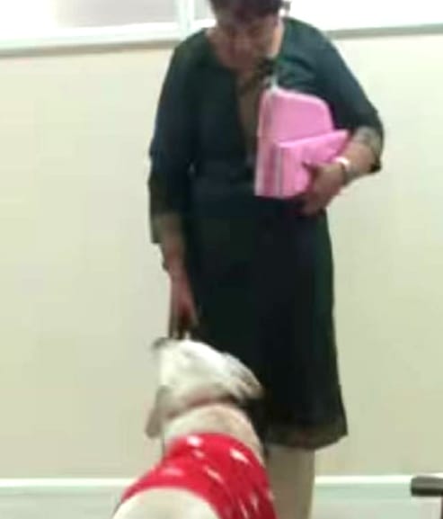 ഡോക്ടർക്ക് പുലിവാല് പിടിച്ച പോലെയായി. സ്വന്തം കാറിൽ സ്വന്തം വളർത്തുനായയുമായി എത്തി. ദാ പ്രശ്നങ്ങളുടെ തുടക്കം