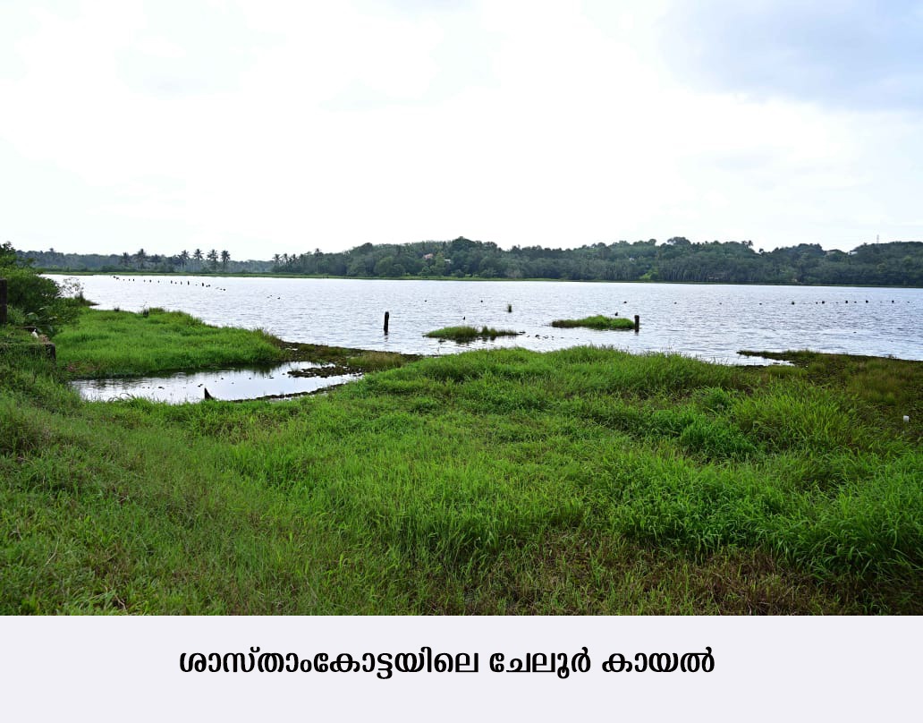 ശാസ്താംകോട്ടയുടെ ടൂറിസം ഹബ്ബാകാന്‍ ചേലൂര്‍ കായല്‍