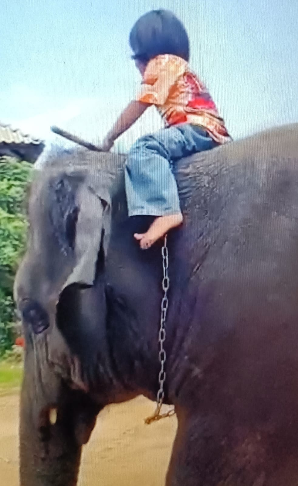 കുട്ടിക്കവിത    .കുഞ്ഞമ്മിണിയും  ആനയും.            കുരീപ്പുഴ സിറിൾ.